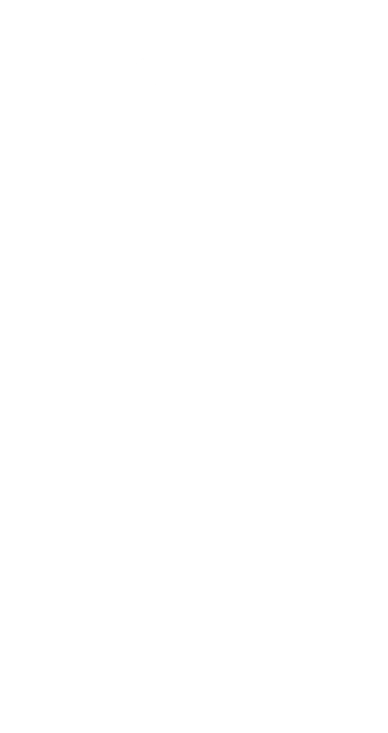 salon_prive_logo_png_white_no_background